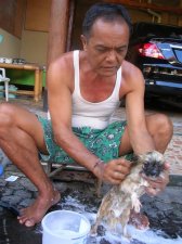 padang-bai_209.jpg