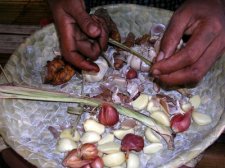 Eating dog in Alor