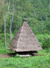 Traditional Alor Homes