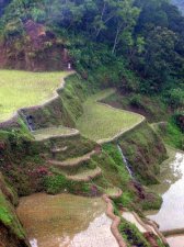 banaue_300.jpg