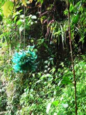 copy_of_banaue_240.jpg