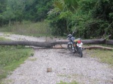 liliomar_130.jpg