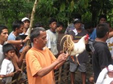 cockfighting-005.jpg