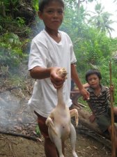 cockfighting-011.jpg