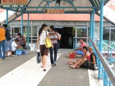 puppy-mill-cebu-016.jpg