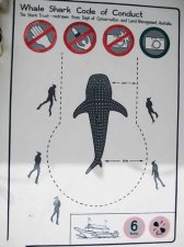 img_0653.jpg