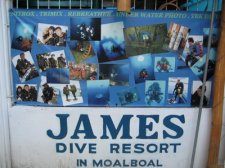 James Dive Resort Cebu
