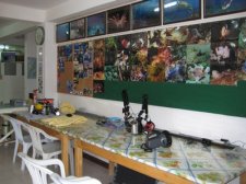 img_0583.jpg
