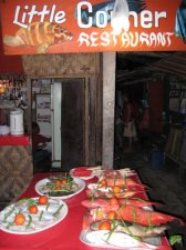 img_0513.jpg
