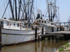 carrabelle-122