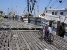 carrabelle-124