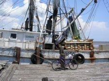 carrabelle-125