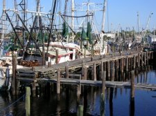 carrabelle-232