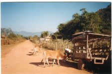 scan0007