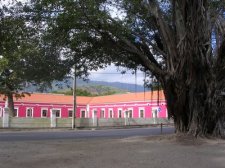 easttimor2_048.jpg