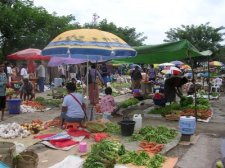 easttimor_103.jpg
