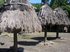 bajawa_013.jpg