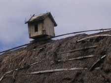 bajawa_078.jpg