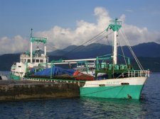kupang_012.jpg
