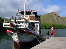 Komodo - Rinca