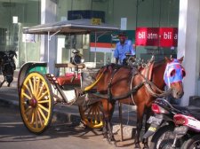 kuta2_001.jpg