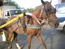 ermita-manila-033