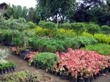 img_2219.jpg