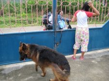 img_1495.jpg