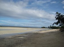 img_1445.jpg