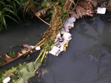trash_011.jpg