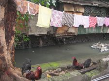 cebu-streets-017.jpg