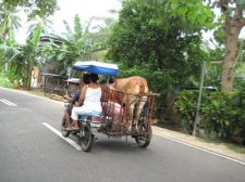 philippines-mi-008.jpg