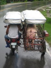 philippine-pictures-010.jpg