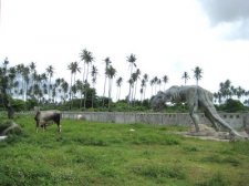 dinosaur-manila-008.jpg