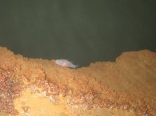 calbiga-cave-038.jpg