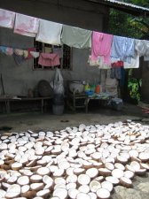 bangon-samar-010.jpg