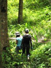 bangon-samar-017.jpg
