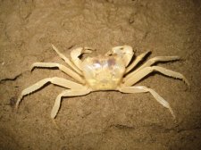calbiga-cave-028.jpg