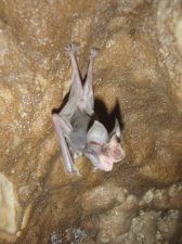 jiabong-extreme-caving-009.jpg