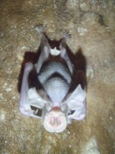 jiabong-extreme-caving-010