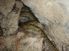 jiabong-extreme-caving-014