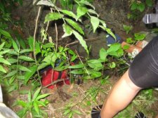 lobo-cave-014.jpg