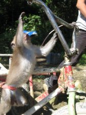 philippines-atb-004.jpg
