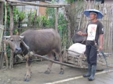 basey-samar-002.jpg