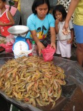 philippines-001