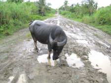 basey-samar-012.jpg