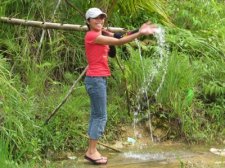 taft-rainforest-001.jpg