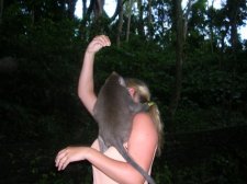 ubud-monkeyforest_005.jpg
