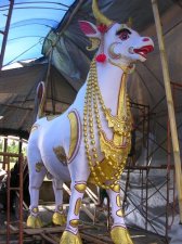 White Cow