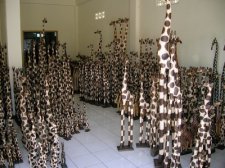 padang-bai_233.jpg